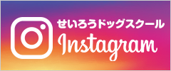 せいろうドッグスクールドッグスクールインスタグラム