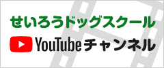 せいろうドッグスクールドッグスクールyoutubeチャンネル